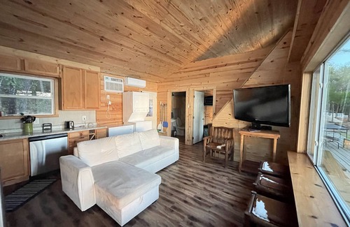 Grapeland Cabin | Secluded Cabin 1 directly on the lake