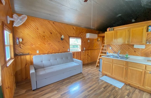 Fairport Cabin | Secluded cabin on farmland with fire pit, pond, a/c & treehouse