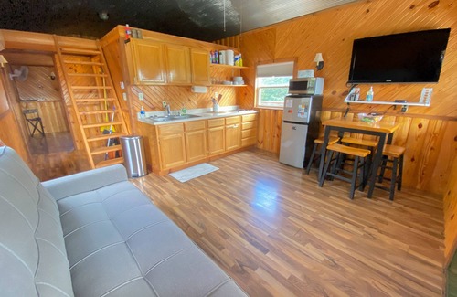 Fairport Cabin | Secluded cabin on farmland with fire pit, pond, a/c & treehouse