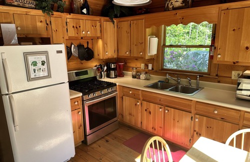 Unaka Cabin | Secluded Cabin on Stocked Trout Stream with Fireplace