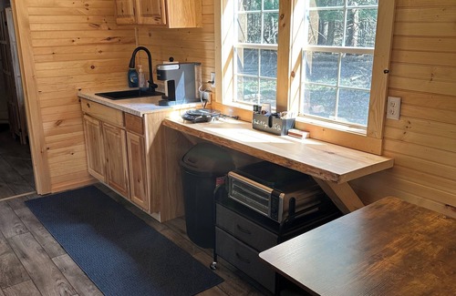 Constable Cabin | Secluded Cabin On the Salmon River Peninsula With AC and Heat in Westville NY