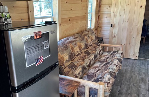 Constable Cabin | Secluded Cabin On the Salmon River Peninsula With AC and Heat in Westville NY