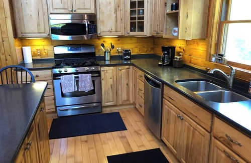 Wetmore Cabin | Secluded Cabin w/King Bed/Sauna/Creek