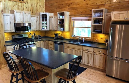 Wetmore Cabin | Secluded Cabin w/King Bed/Sauna/Creek