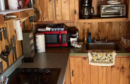 Brownfield Cabin | Secluded Country Cabin with semi-private Beach on Private Lake.