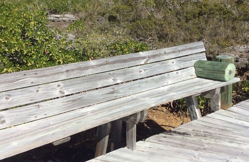 Bahama Palm Shores Apartment | Secluded getaway abaco