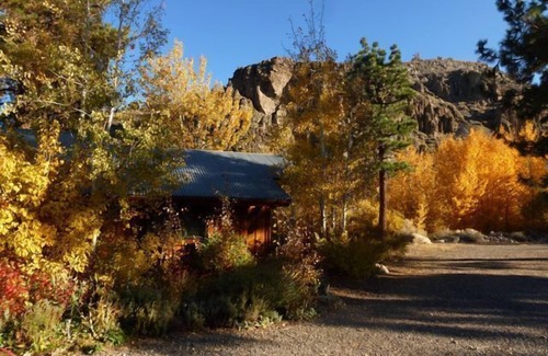 Alpine Village Cottage | Secluded Hideaway Cottage By Mt Stream Near Hiking, Biking, Skiing, Hot Springs