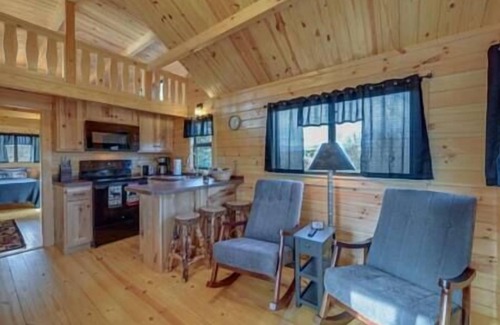 Traphill House | Secluded hillside cabin with mountain views!