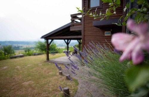 Marija Gorica House | Secluded holiday house Marija Gorica, Prigorje - 23083