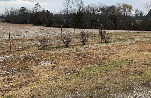 De Queen House | Secluded Home on 60acres, 20min to dwtn, space to park boat,1mi to Lake +kayaks