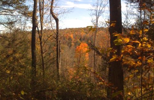 Mehoopany Ski Chalet | Secluded in the Woods Cedar Hot Tub Pet Friendly