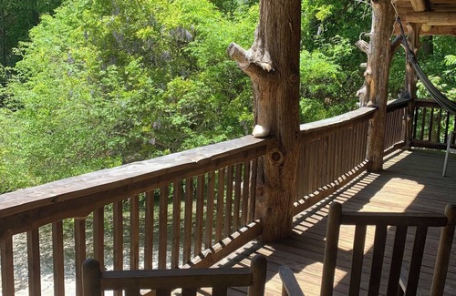 Lovingston Cabin | SECLUDED LAKE FRONT LOG CABIN