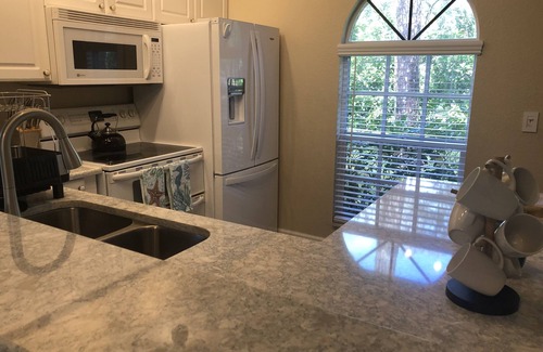 Greater Northdale House | Secluded Lakefront House short drive to Beaches, Busch Gardens, Stadium, Disney