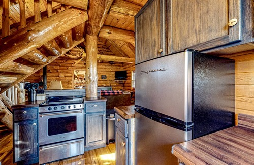 Lyndon Station House | Secluded log cabin near Wisconsin Dells with wood stove & grill - dog-friendly