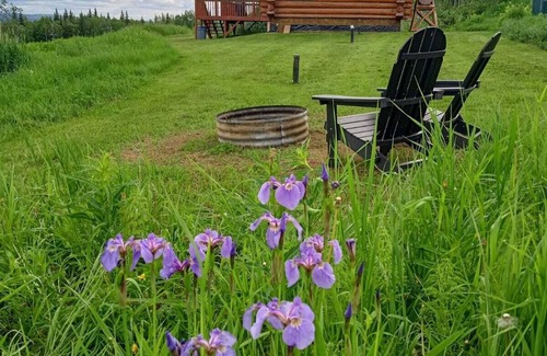 Fairbanks Cabin | Secluded Log Cabin, 30 min from Chena Hot Springs