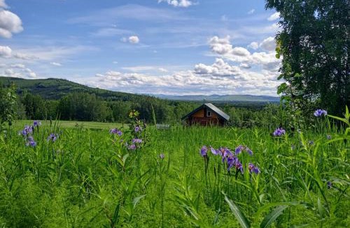 Fairbanks House | Secluded Log Cabin, 30 min from Chena Hot Springs