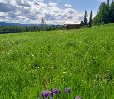 Fairbanks House | Secluded Log Cabin, 30 min from Chena Hot Springs