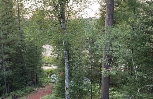 Mio House | Secluded Luxury Cabin Retreat On The "Ausable National Scenic River"
