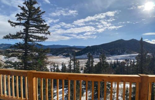Indian Mountain House | Secluded Modern Cabin On 10 Acres Tarryall Creek