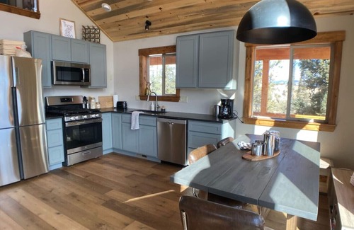 Indian Mountain Cabin | Secluded Modern Cabin On 10 Acres & Tarryall Creek