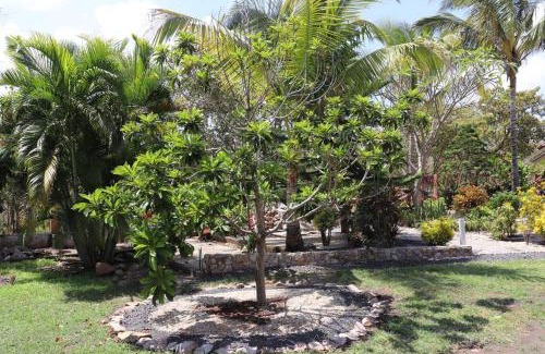 El Palmar House | Secluded Ocean Front Overlooking the Marina