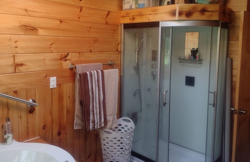 Forestport Cabin | Secluded off-grid cabin in the Adirondacks with hot tub close to Old forge