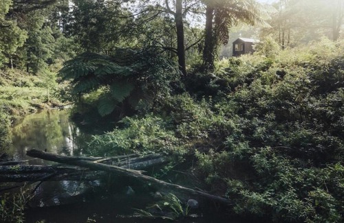 Hiawatha House | Secluded Off-Grid Cabin Tucked Into The Bush - Bastian