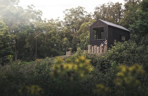 Hiawatha House | Secluded Off-Grid Cabin Tucked Into The Bush - Bastian