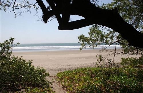 Los Zorros Cabin | Secluded Pacific Coast Garden Bungalo