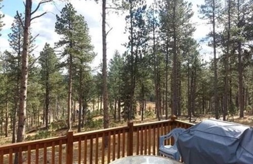 Nemo Cabin | Secluded Pines Cabin in the Black Hills - Relaxing Getaway