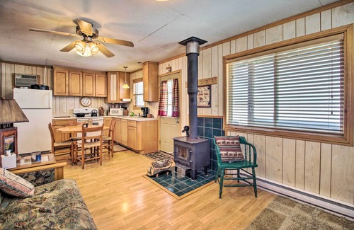 Remer Cabin | Secluded Remer Cabin w/Lake Access!