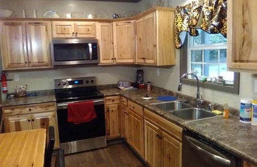 Rogersville House | Secluded River Lot on Elk River