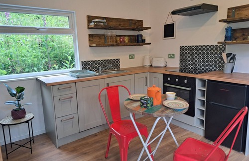 Christchurch Cabin | Secluded Sanctuary of Peace in the Trees -Glorious Cabin on Wildlife Reserve