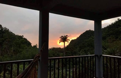Pont Casse Cottage | Secluded seaview solar cottage w/organic greenhouse & farm to table cuisine