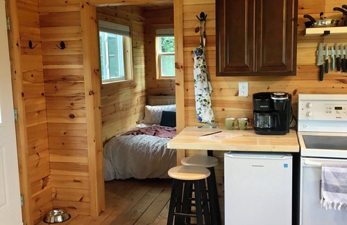 Goshen Cabin | Secluded Tiny Cabin Screened Porch Sleeps 4 - Goshen Springs Getaway