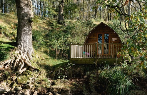 Wing Cabin | Secluded Woodland Cabin in North Cumbria