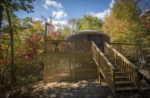 Asheville House | Secluded yurt on Blue Ridge Pay & MTS Trl with hot tub, only 15min from downtown