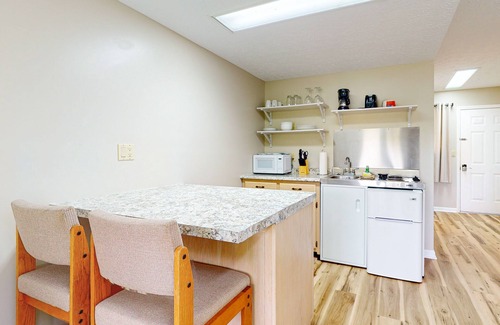 Baneberry Apartment | Second-floor, dog-friendly studio with quiet views & gym - walk to Douglas Lake