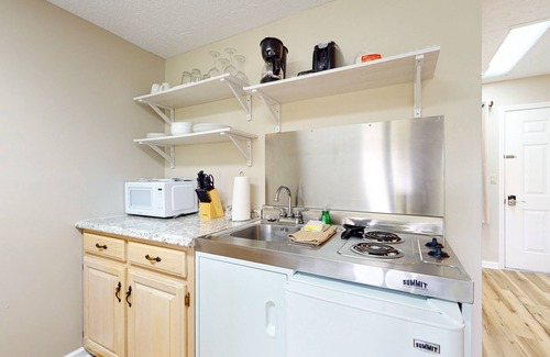 Baneberry Apartment | Second-floor, dog-friendly studio with quiet views & gym - walk to Douglas Lake