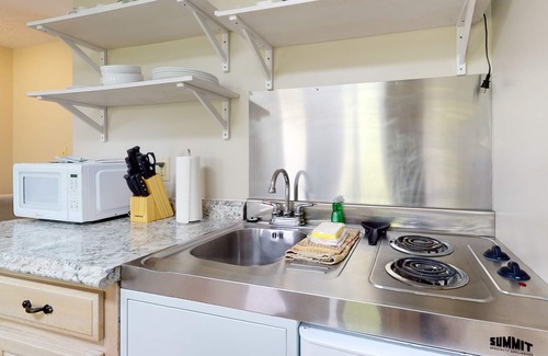 Baneberry Apartment | Second-floor, dog-friendly studio with gym & golf view - walk to Douglas Lake