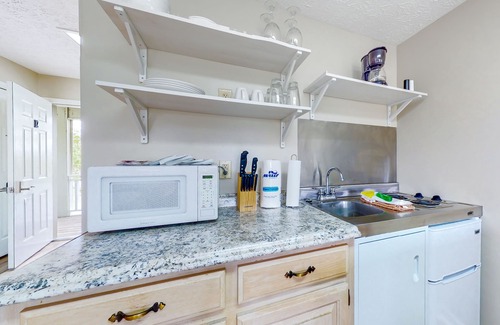 Baneberry Apartment | Second-floor studio with quiet view, patio & gym - walk to Douglas Lake, dogs OK
