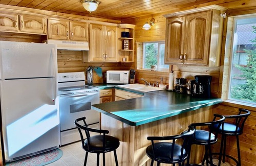 Island Park Cabin | Secret Cabin w/Dock - Fire Pit - Near Yellowstone