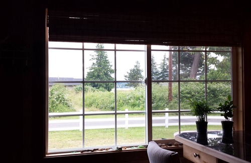 Bellingham Cabin | Secret passage to the San Juan Islands. Very quiet spot on a short, rural road.