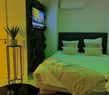 Livron-sur-Drome Apartment | Secret room