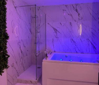 Livron-sur-Drome Apartment | Secret room