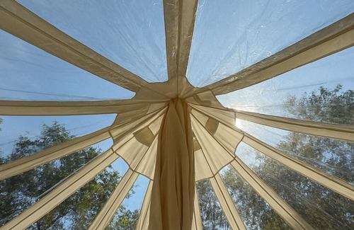 Boss Apartment | Secret Sycamore– Private Stargazing Glamping Tent with Fire Pit & Open Skies