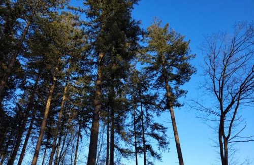 Municipality of Rijssen-Holten House | Secret Wellness Droombos