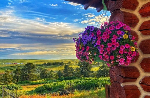 Yellowstone County Cabin | See the stars from this cozy guest cabin 30 minutes from Billings.