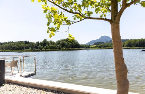 Sankt Veit an der Glan Apartment | Seeapartments Hörzendorf