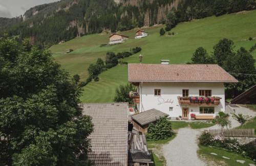 Valle Aurina Apartment | Seeberhof - Urlaub am Bauerhof